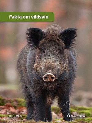 cover image of Fakta om vildsvin